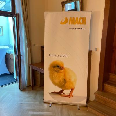 Seminar Ross 308 007